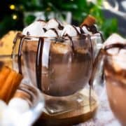 a double-wall glass cup filled with cinnamon hot chocolate and marshmallows, chocolate syrup, and cinnamon stick as toppings