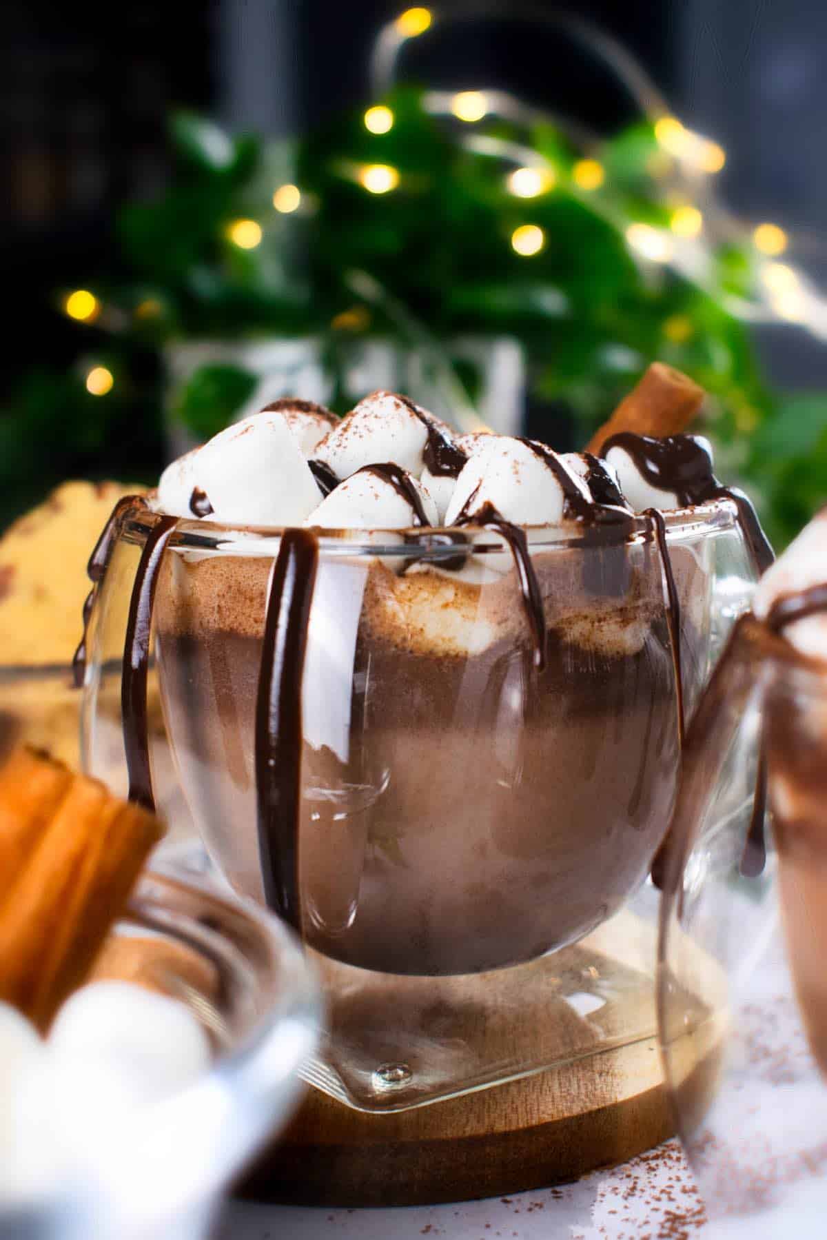 a double-wall glass cup with cinnamon hot chocolate and toppings