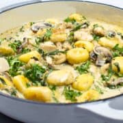 close up shot of chicken and gnocchi with creamy truffle sauce in a skillet