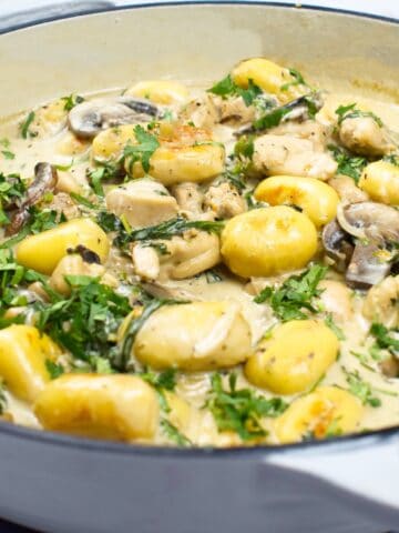 close up shot of chicken and gnocchi with creamy truffle sauce in a skillet