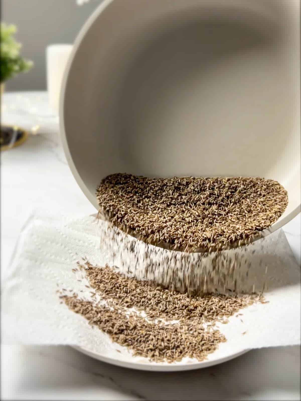 transferring toasted cumin seeds from pan to plate lined with kitchen paper towel