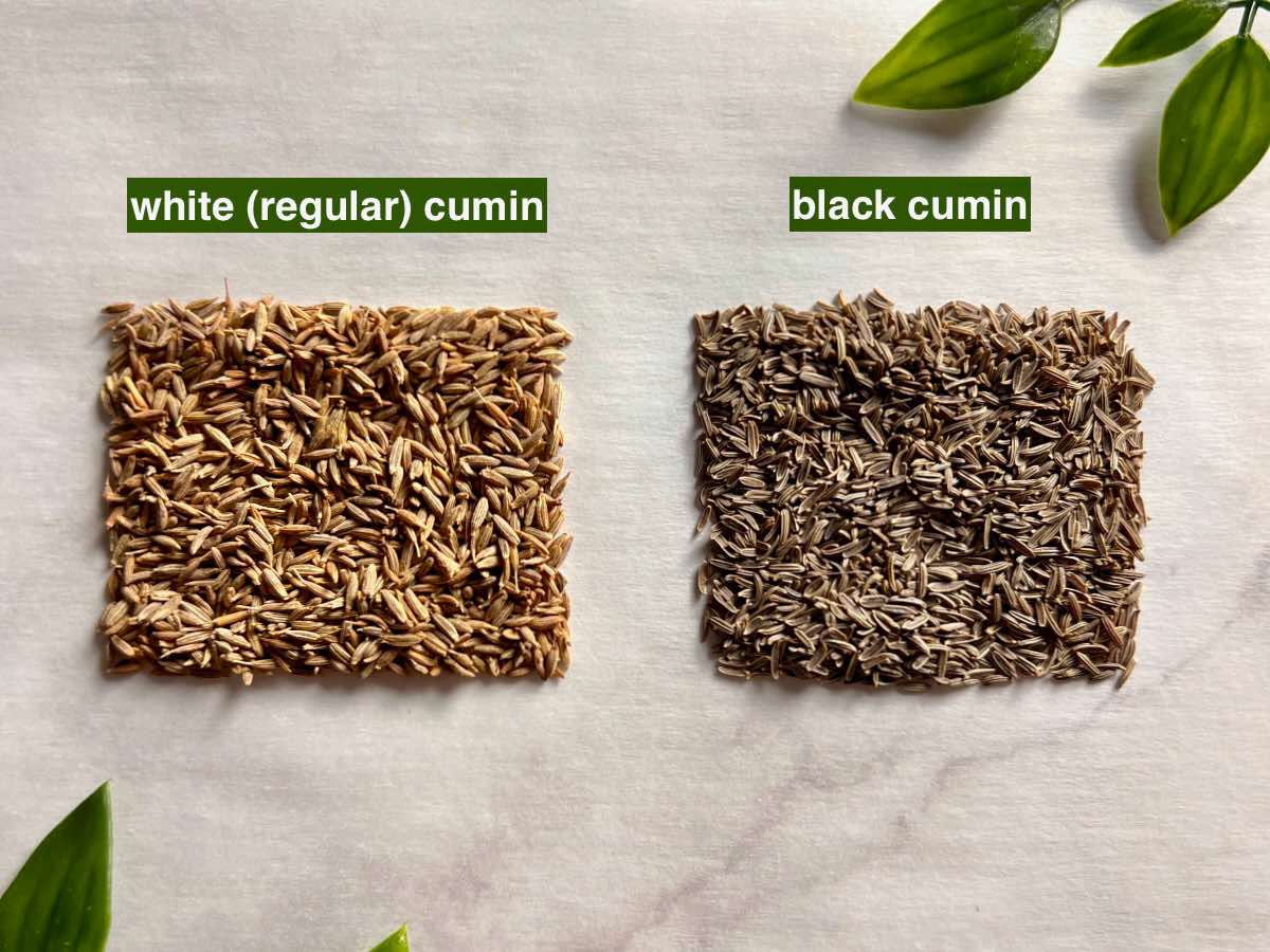 regular (white) cumin and black cumin displayed side by side