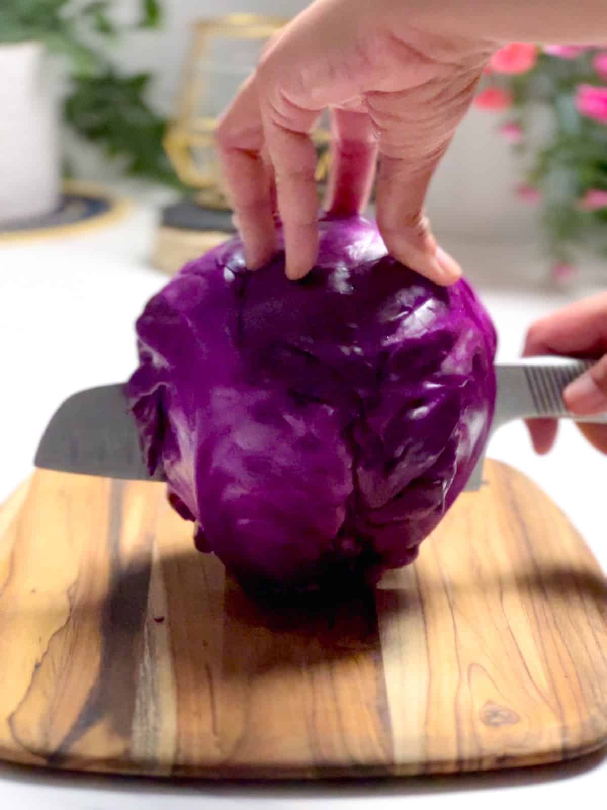 cutting a whole head of purple cabbage into two halves