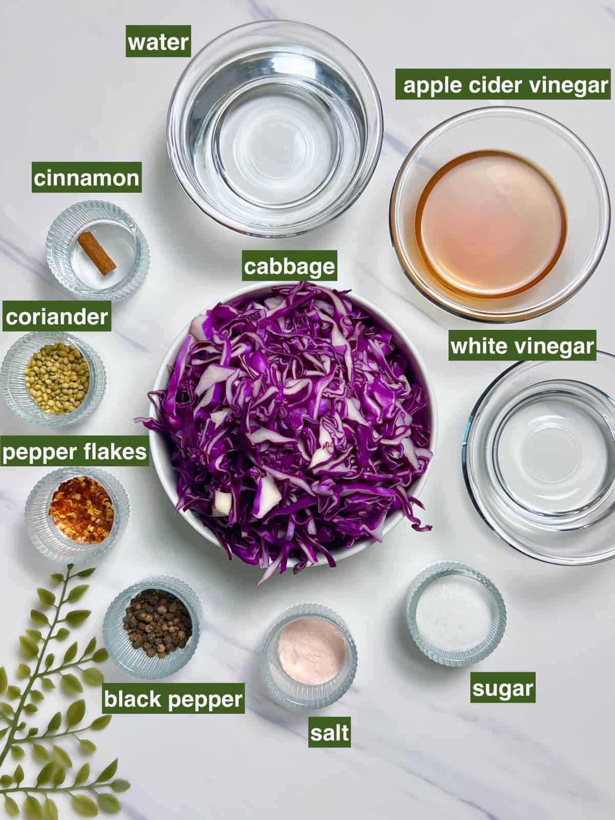 ingredients required for making pickled purple cabbage
