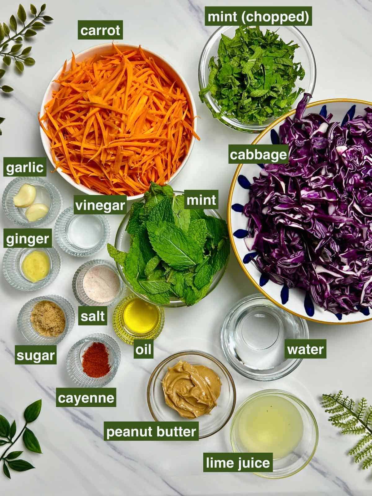 ingredients needed for making purple cabbage slaw