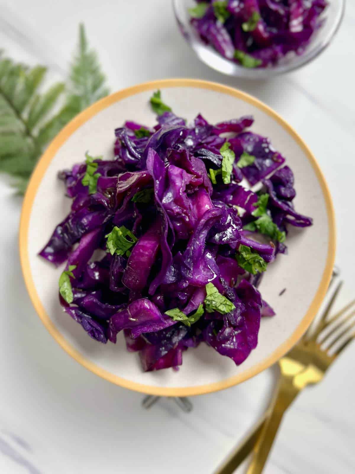 steamed purple cabbage served on a plate