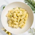 truffle rigatoni pasta in a plate