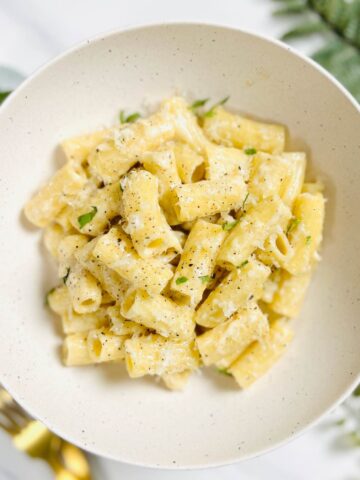 truffle rigatoni pasta in a plate