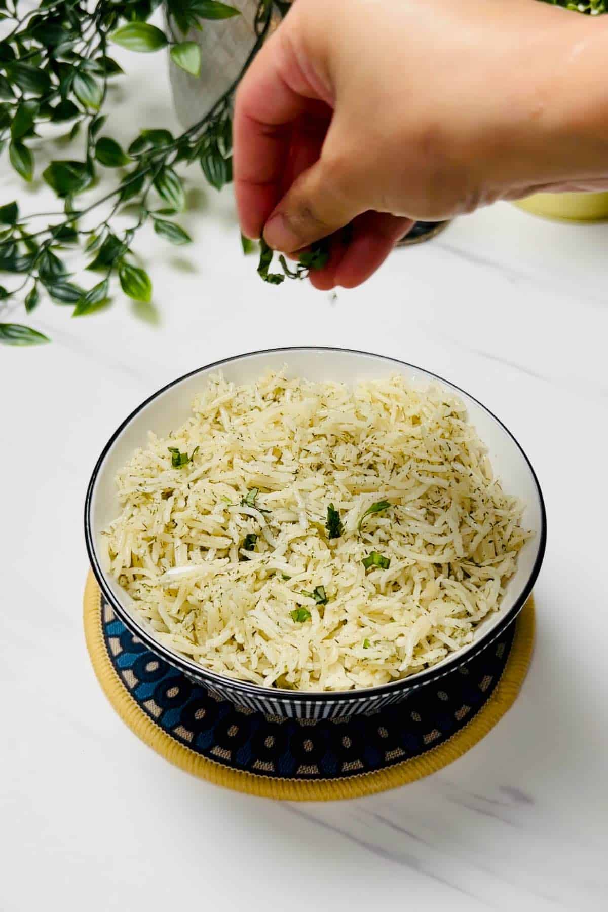 topping rice with chopped parsley