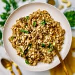 ground beef risotto served on a plate