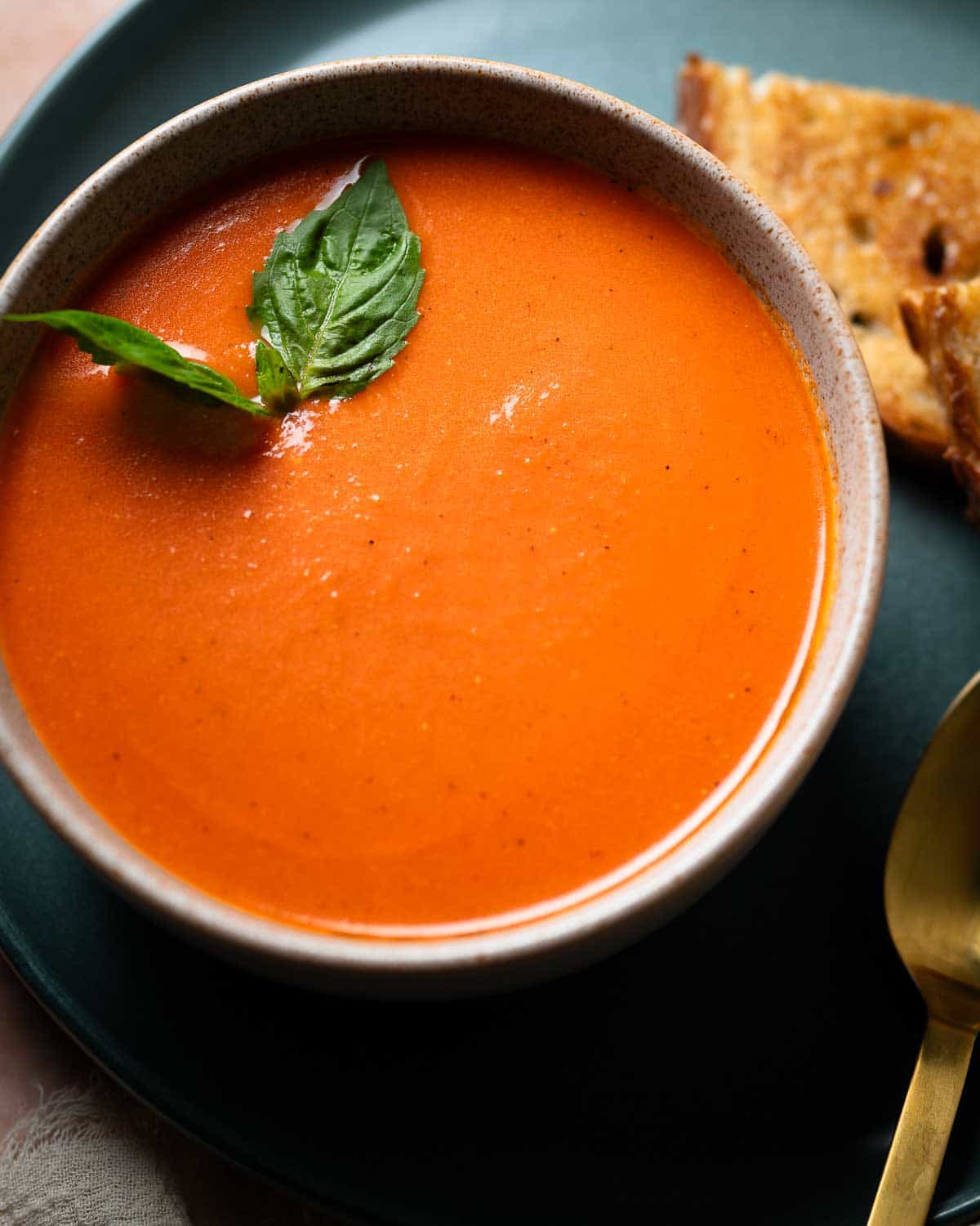garlic tomato soup in a bowl