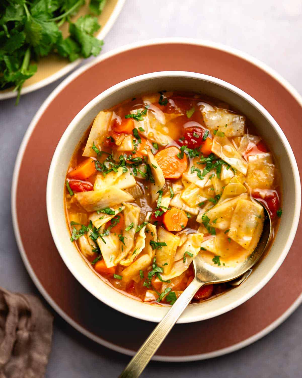 cabbage soup served in a bowl